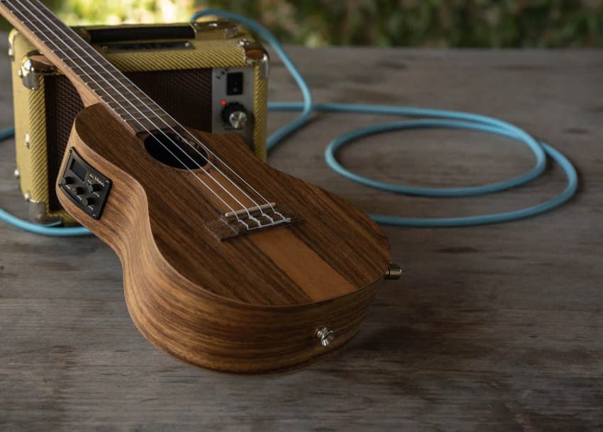 Learn How to Play Ukulele in 14 Easy Steps