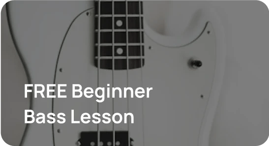 Beginner Bass Foundations